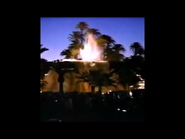 exquisite nights - resort (2022)