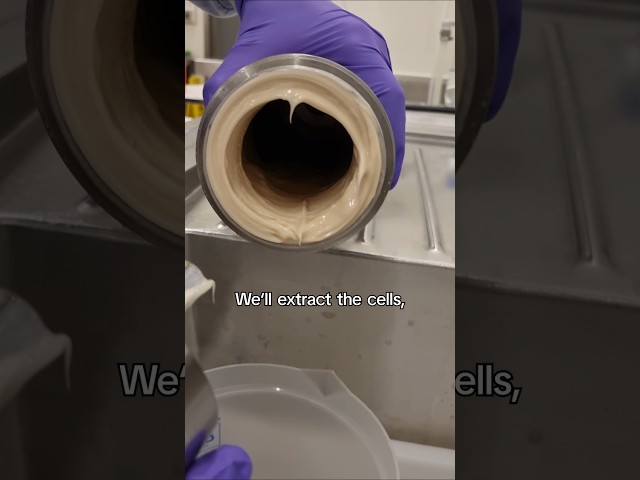 How to grow 100L of yeast