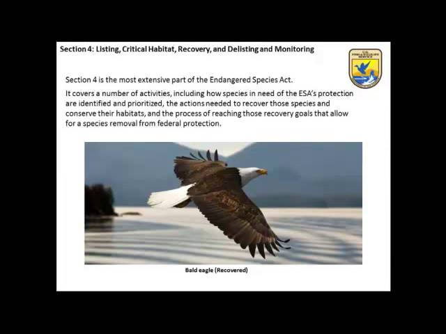 Endangered Species Act 101