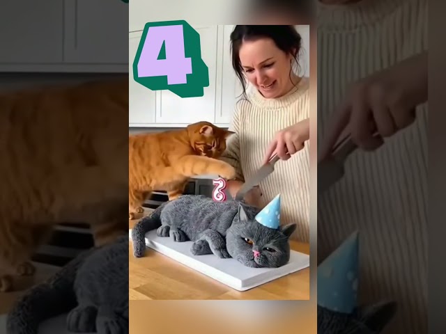 Top 7 clips you don't want to miss