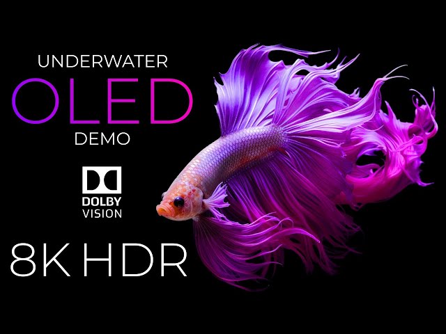Underwater Life OLED Demo HDR 8K Ultra HD Dolby Vision™ 60fps