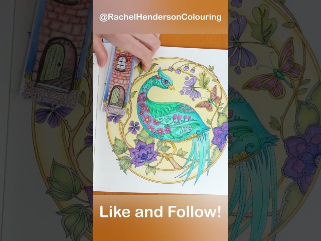 Vote for your favourite in the comments  #art #johannabasford #coloring