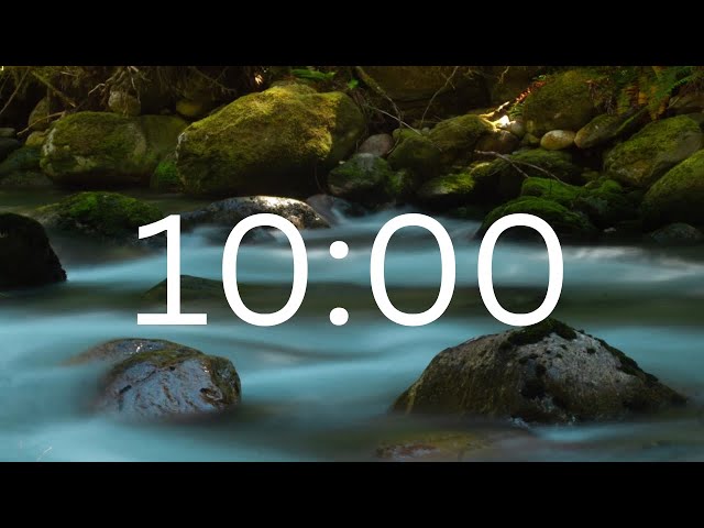 10 Minutes Timer With Music