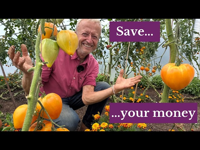 Grow Tomatoes & Cucumbers Without Feed or Fertiliser – Let Soil Life Do the Work