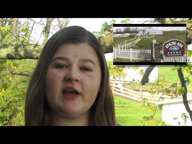 Alltech's 2012 Farming Film Festival Winners