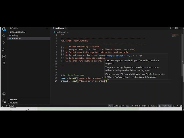 User Input In Python - Madlibs