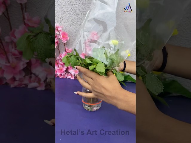 Easy way to fresh your items