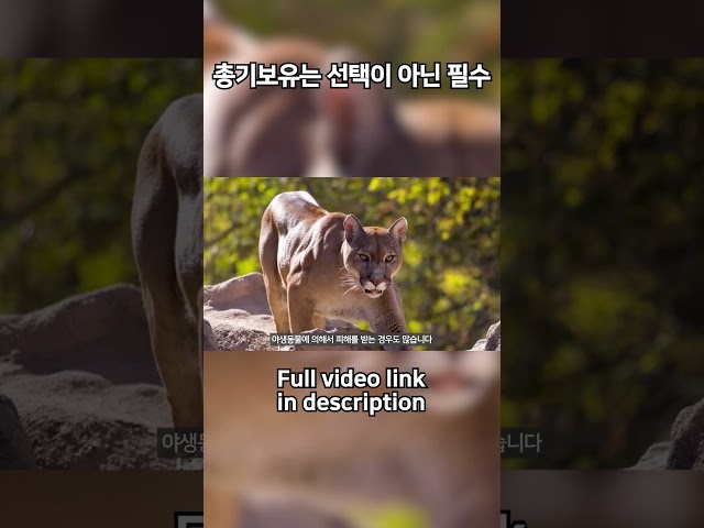 총기보유는 선택이 아닌 필수