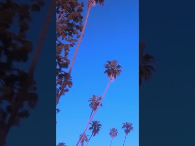 @HBurnsOfficial  dévoile « Strong Winds Ahead » 💨 #HBurns #StrongWindsAhead #Yotanka #DesertDays