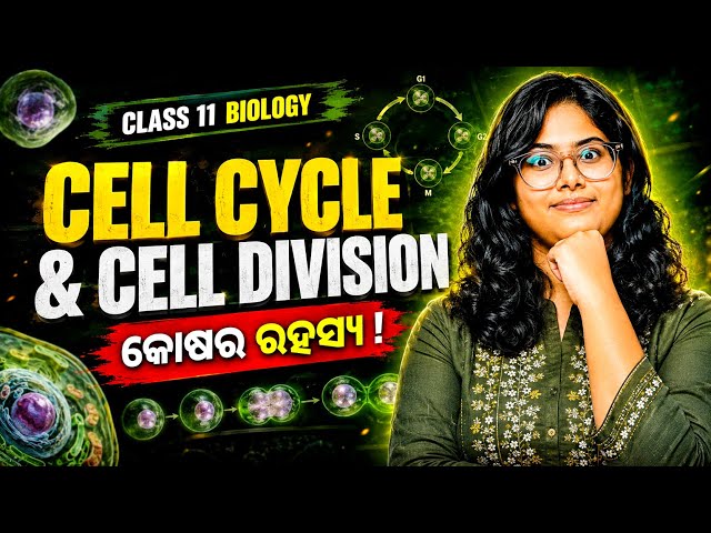 Cell Cycle & Cell Division Explained | Class 11 Biology | NCERT + CHSE Odisha