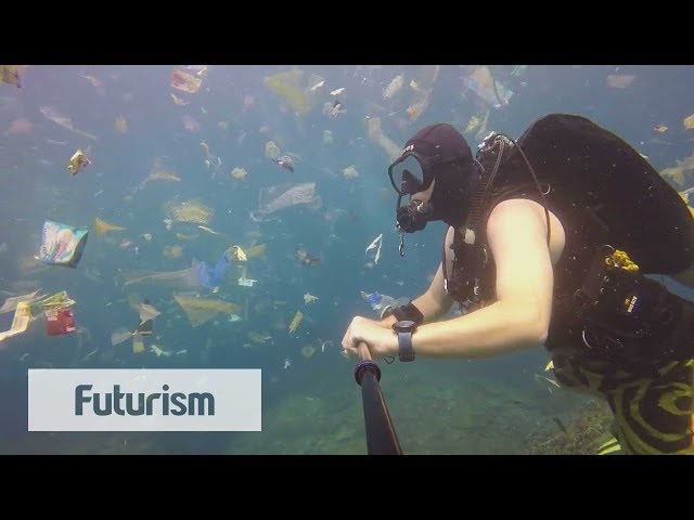 Startling Footage Shows Plastic Waste In The Ocean