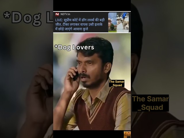 Stray Dogs Supreme Court Modifies Earlier Order#dogs#delhi #straydog#doglovers#memes #trending#viral
