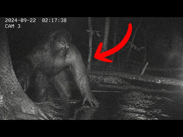 Unreleased Trail Cam Footage Just Released - Experts are Concerned