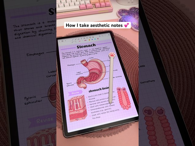 How I take aesthetic notes 💕📱 Samsung galaxy tab | penly app | study tips | digital note taking