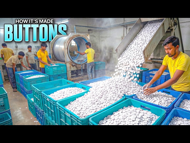 Incredible Factory Process of Making Buttons on a Massive Scale