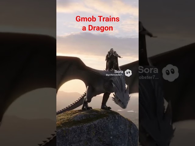 How to train a dragon