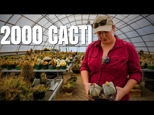 Inside the World’s Largest Chihuahuan Desert Cactus Collection