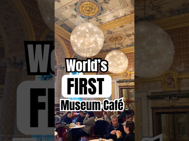 Have Tea Like the Victorians Did at the V&A 🫖☕️