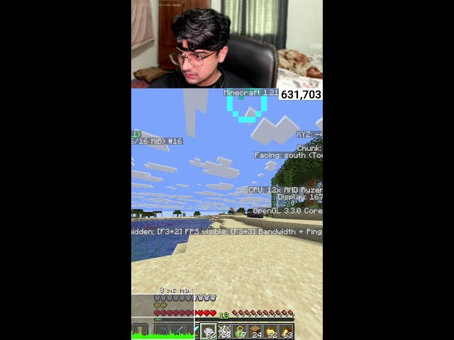MINECRAFT PROFESSIONAL SPEEDRUNNER