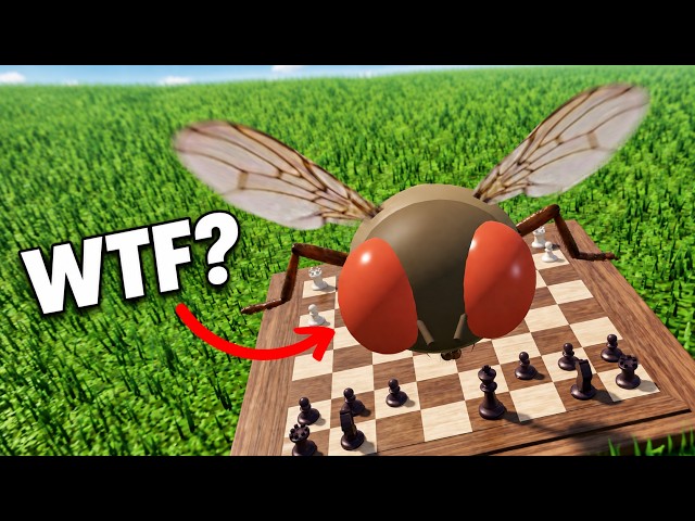 A Fly Just Learned Chess (It's 700 Elo)