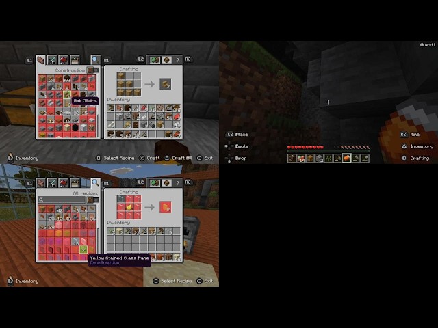 Minecraft Day 5