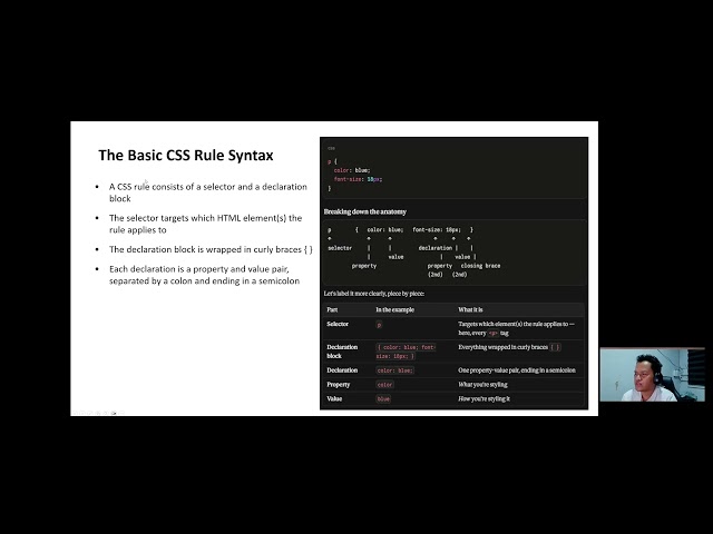 CSS Fundamentals, Selectors, Box Model & Display | Full Lecture