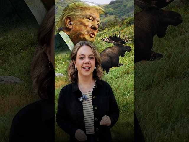 Tariffs: Will Americans Soon Be Banned from Hunting and Fishing in New Brunswick?