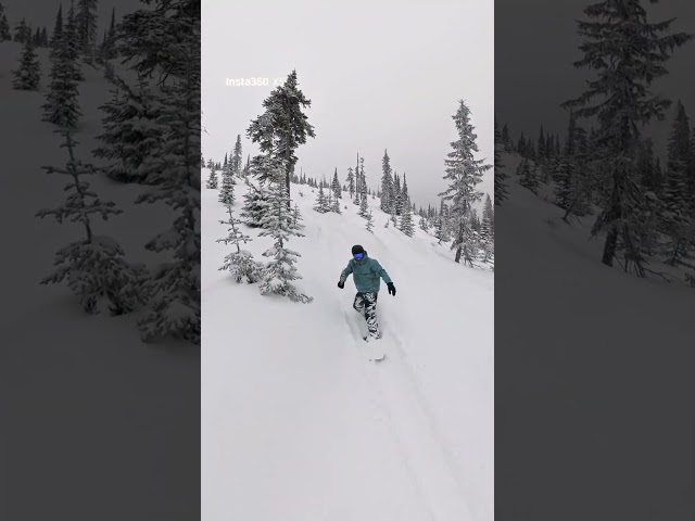 EXTREME POW DAY 💥 21cm (8 in) Overnight | Mar 16, 2026  #skibigwhite #explorebc #skiing