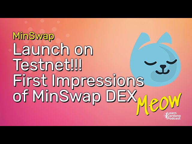 MinSwap Live on Testnet! Playing Around & First Impressions of the DEX