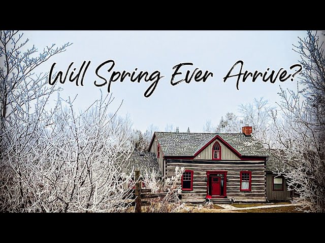 When Will Spring Arrive? | Countryside Life in Late Winter