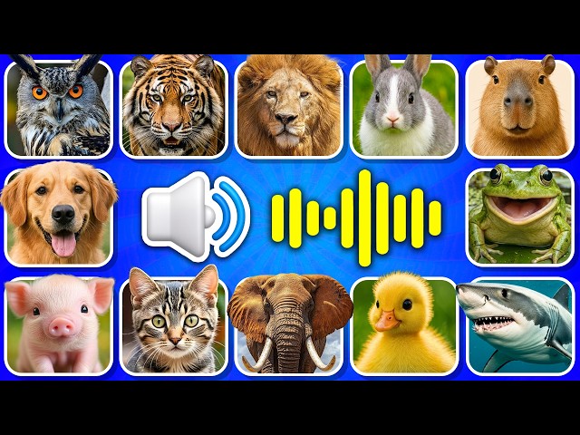 Guess The Animal Sound? 🔊❤️ | Animals Names And Sounds