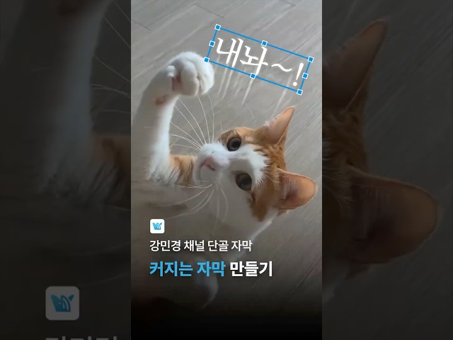 '강민경 자막' 스타일 만드는 법