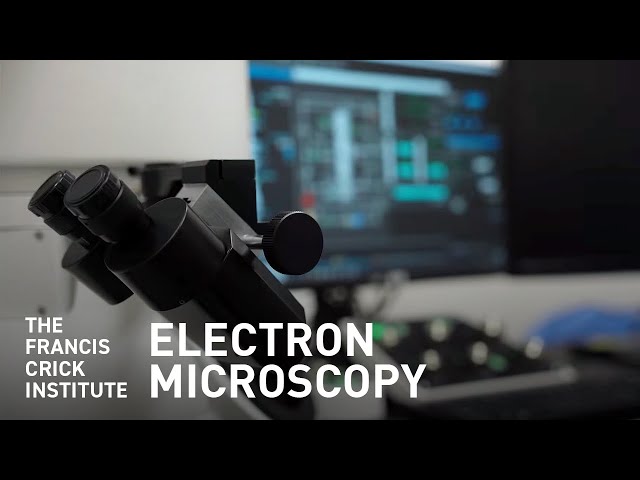 Seeing the Invisible with Electron Microscopy
