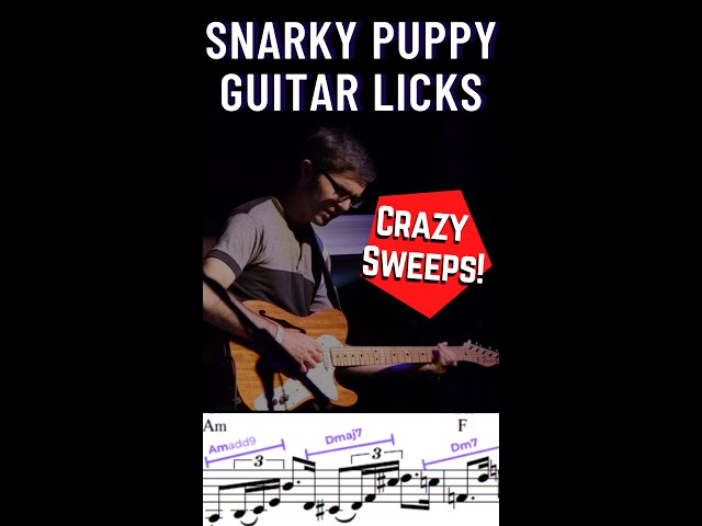 Chris McQueen from Snarky Puppy plays INSANE lick with odd rhythms and sweeping arpeggios