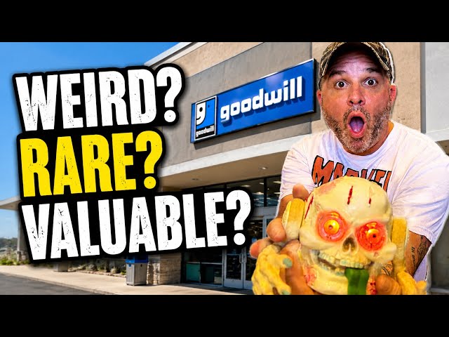 You Never Know What Weird, Rare and Valuable Things You’re Going To Find In A Thrift Store!