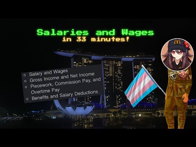Salaries and Wages in 33 minutes!