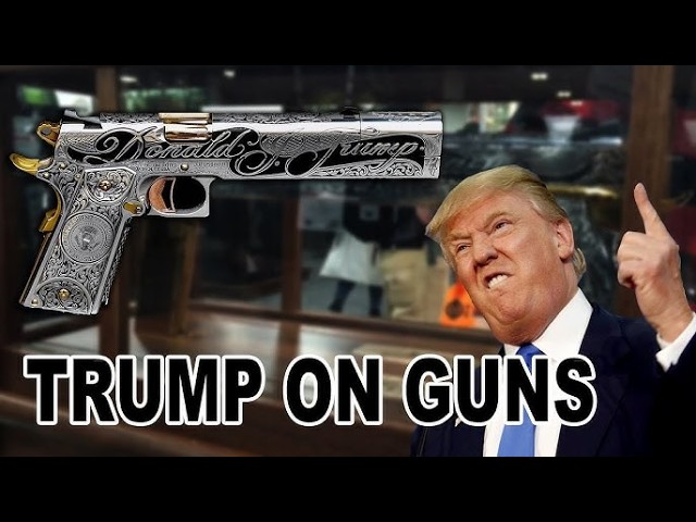 Trump Moves To Restore Gun Rights For Mentally Ill People