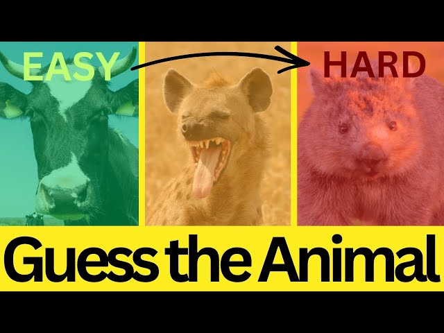 Guess the Sound | 35 Animal Sounds Quiz | Easy to Hard