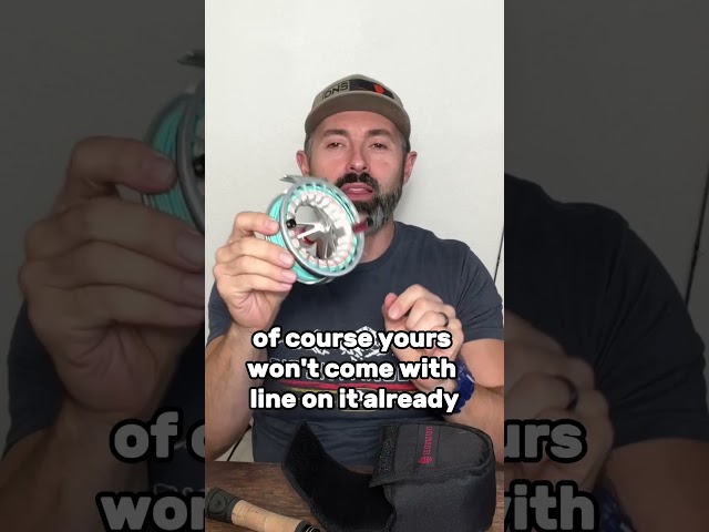 A Quick Look at the Rise 3 Reel