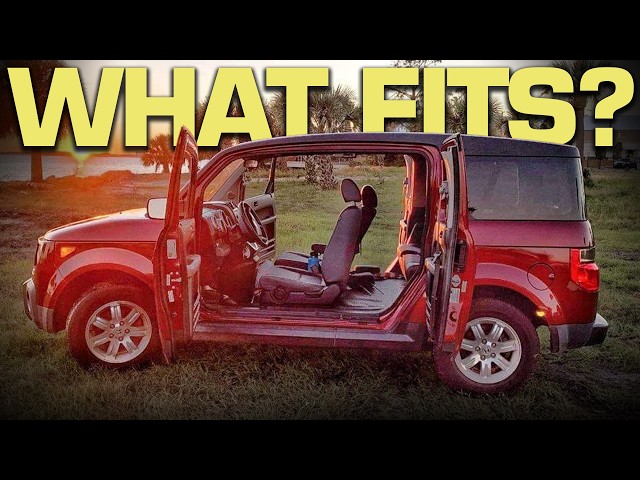 You can fit WHAT in a Honda Element?
