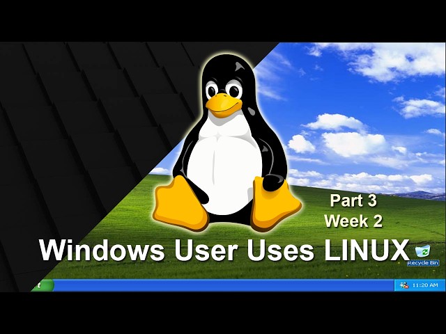 Two Weeks in Linux and I DID NOT expect this!! Windows User Going Linux   Part 3