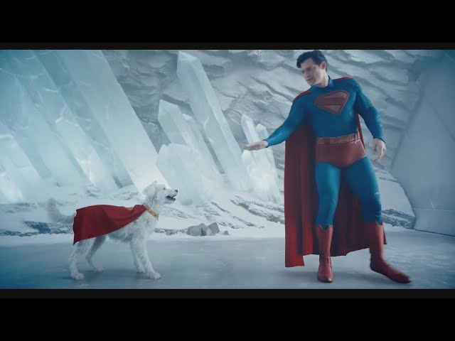Meet Superman's Scene-Stealing Dog, Krypto