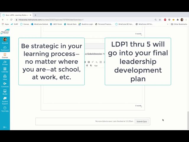 Overview of LDP2 Learning Styles and Strategies Questionnaire