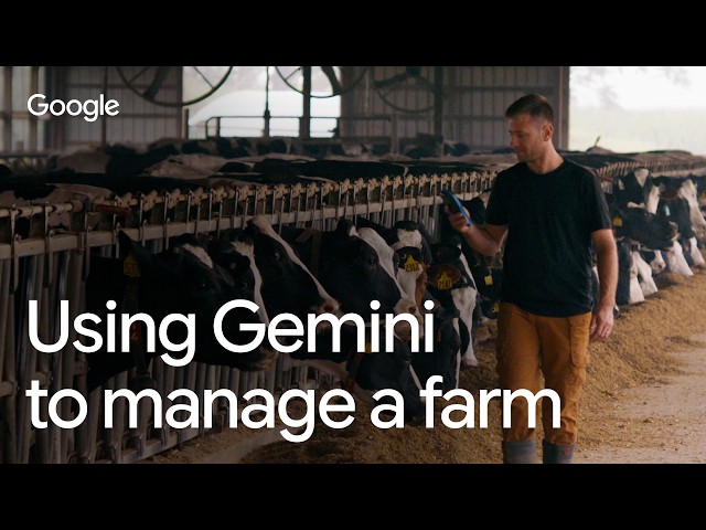 How Gemini 3.6 Flash helped this dairy farmer run his business