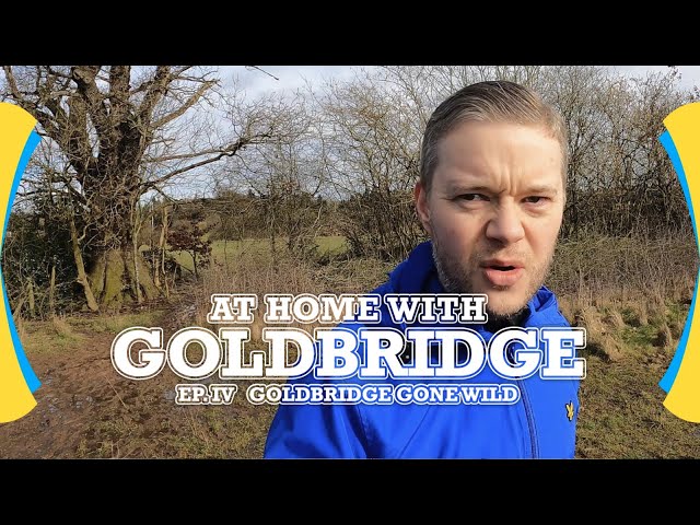GOLDBRIDGE At Home EP 4! Goldbridge Goes Wild
