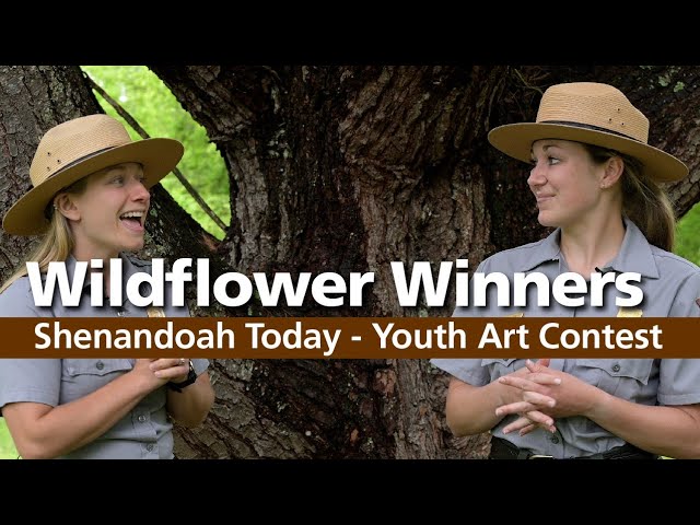Wildflower Winners