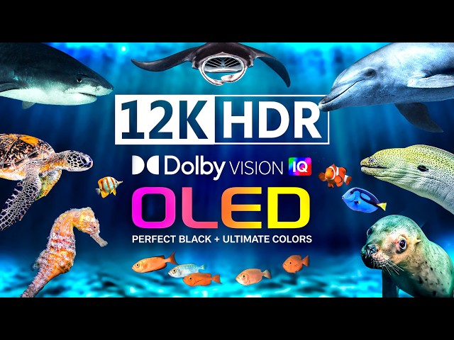 12K HDR 60FPS | Animal Ocean Wildlife & Marine Life | Ultimate OLED TV | Dolby Atmos • IMAX Enhanced