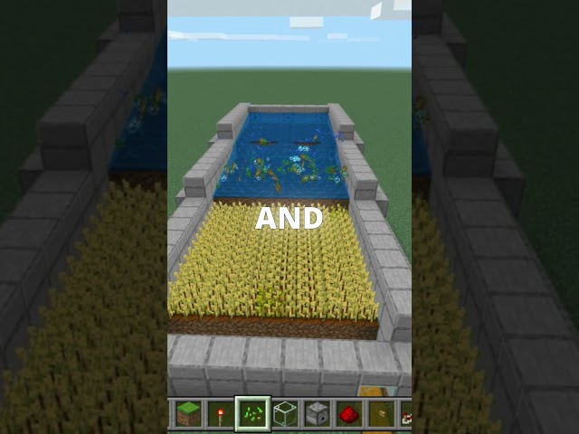 Master the Ultimate Minecraft Bedrock Wheat Farm Like a Pro!