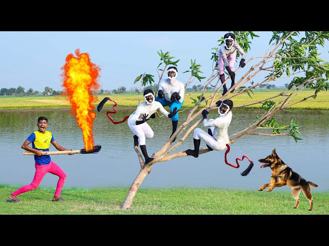 Funniest Fun Top New Comedy Video 2025 😂 amazing best of funny video Episode 373 By Bidik Fun Tv