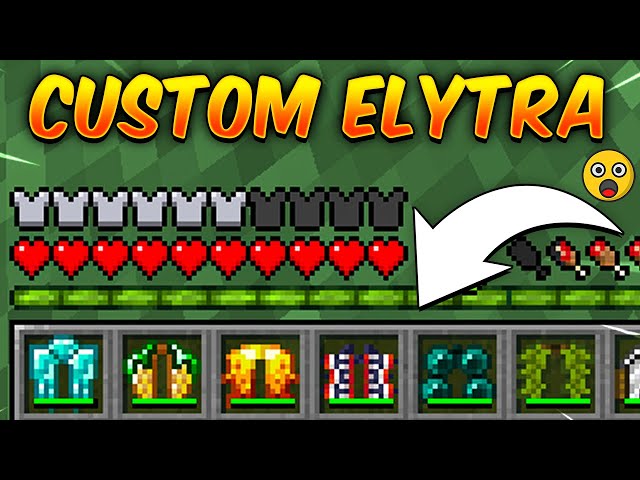 Minecraft But I Can Craft Custom Elytra...